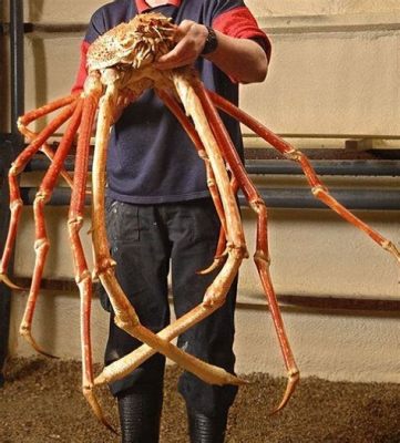  Japaneses Swimming Crab!  A Creature That Swims Backwards While Hiding Its Face