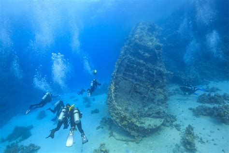  Ultimate Urban Dweller: Underwater Adventures in the Life of an Unusual Upogebia!